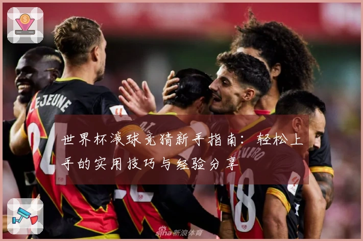 世界杯滚球竞猜新手指南：轻松上手的实用技巧与经验分享