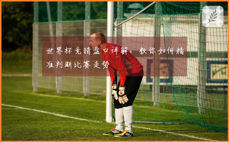 世界杯竞猜盘口详解，教你如何精准判断比赛走势