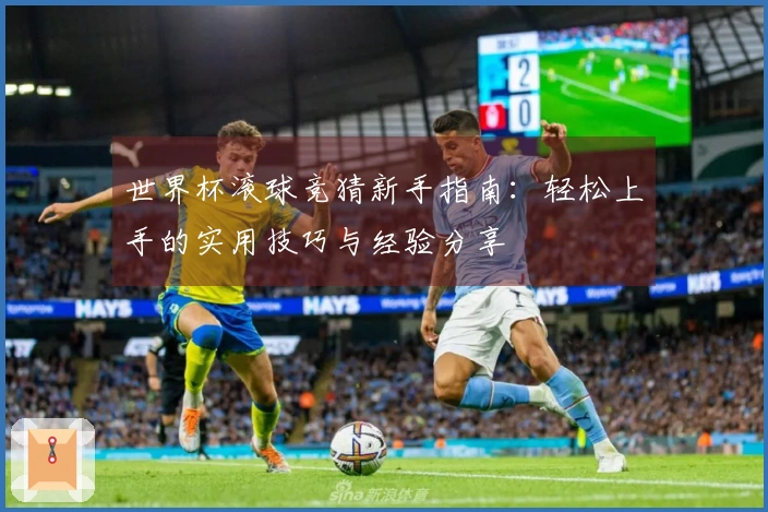 世界杯滚球竞猜新手指南：轻松上手的实用技巧与经验分享