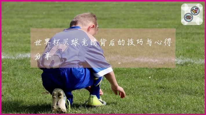 世界杯买球竞猜背后的技巧与心得分享