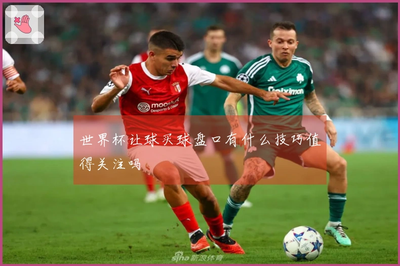 世界杯让球买球盘口有什么技巧值得关注吗