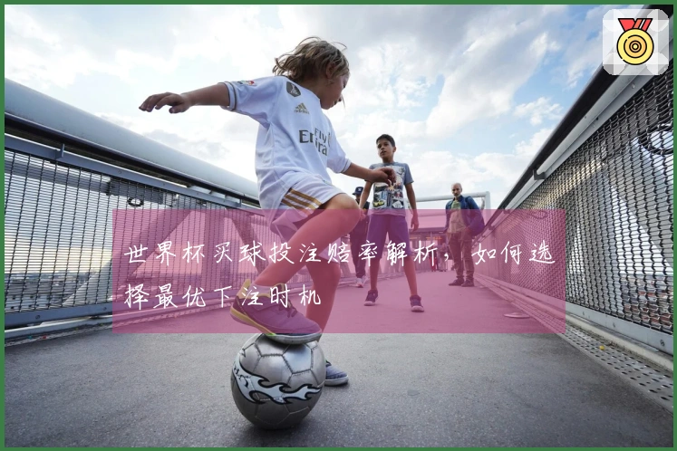 世界杯买球投注赔率解析，如何选择最优下注时机